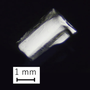 テラヘルツ検出素子(自作)